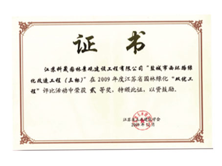 雙優(yōu)工程